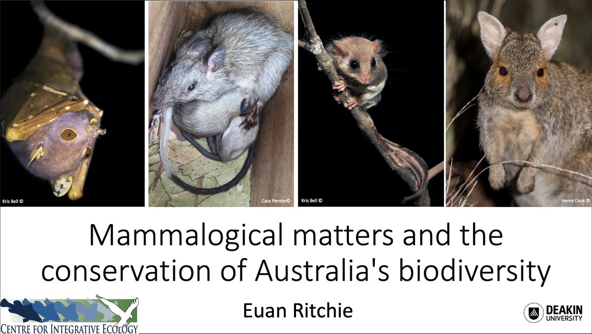 Prof. Euan Ritchie (@euanritchie.bsky.social) (@euanritchie1) on Twitter photo I'm looking forward to sharing some of our group's work (euanritchie.org) in <a href="/BioSci_UniMelb/">BioSciences UniMelb</a>'s seminar series today. I'm looking forward to sharing some of our group's work (euanritchie.org) in <a href="/BioSci_UniMelb/">BioSciences UniMelb</a>'s seminar series today.
