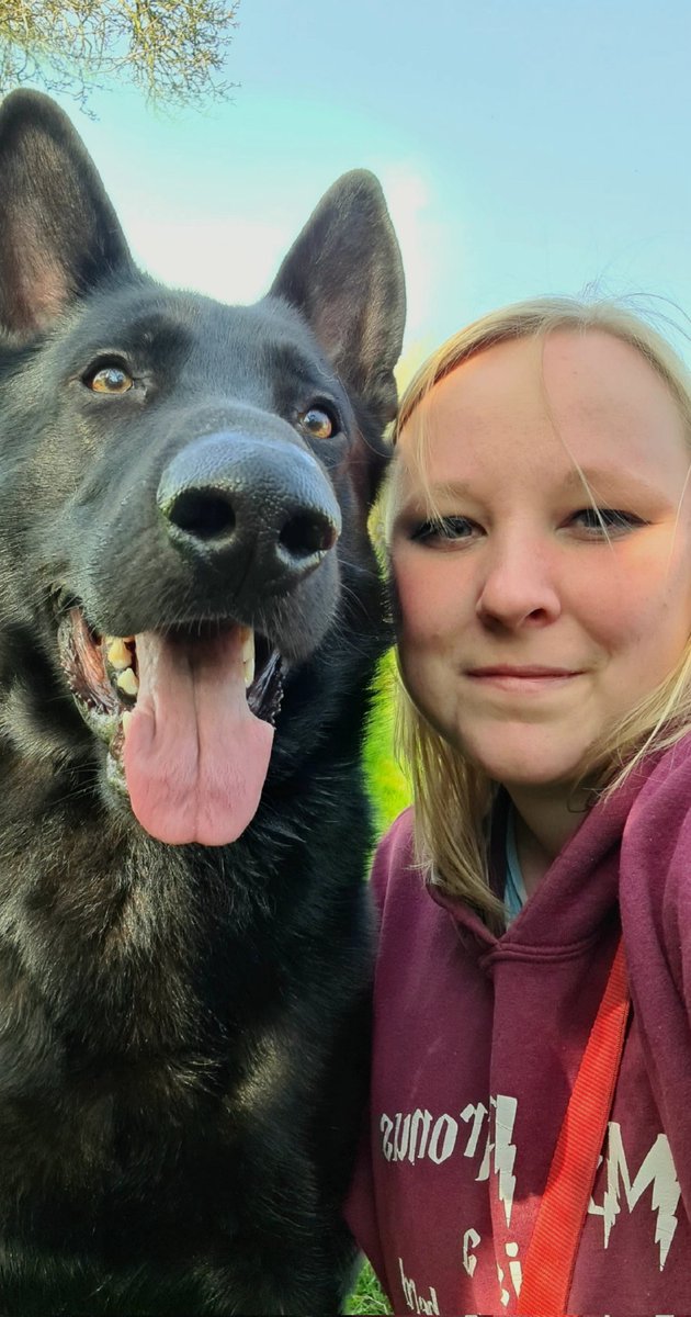 Afternoon at the park enjoying the sun with my boy 🖤 
#twitterdogcommunity #twitterdog #bestfriends #GermanShepherd