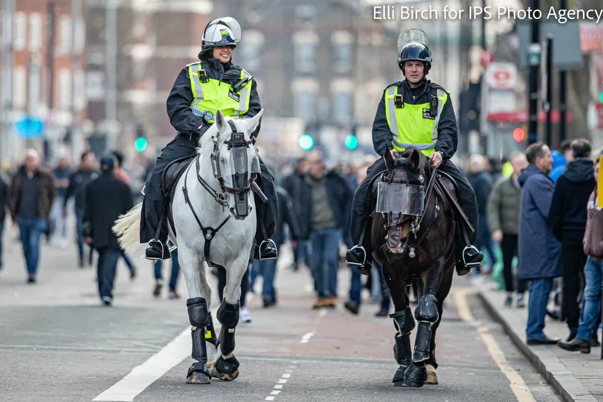 Fortheluvofcake's tweet photo. Nearly forgot why I was in Tottenham yesterday! Great to see the @CityHorses on duty. ⚽️FT: Spurs v West Ham 3-1 https://t.co/qTphYa2oMq