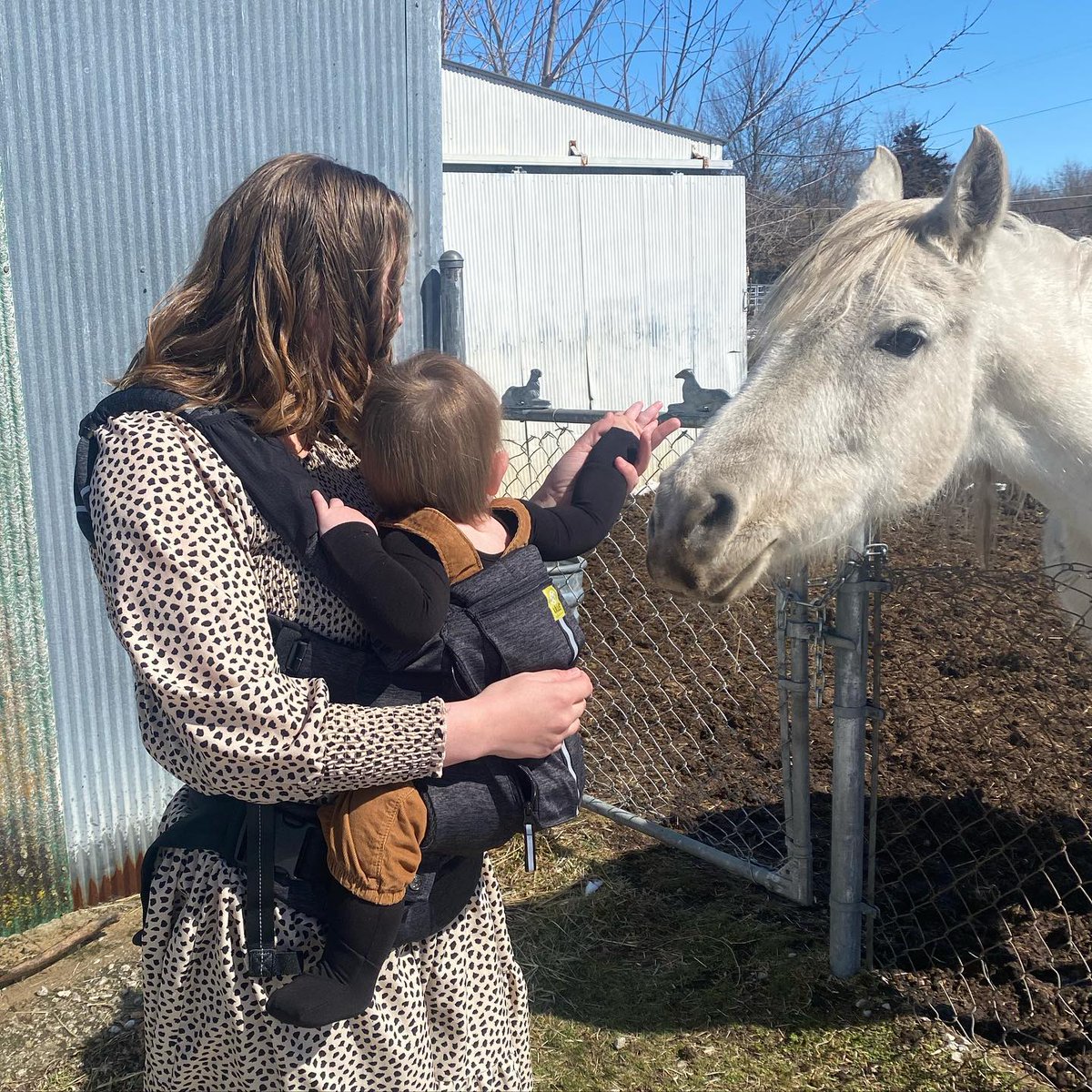 Meeting new friends thanks to the Pursuit Pro! 🐴☀️ via @ashleyklements