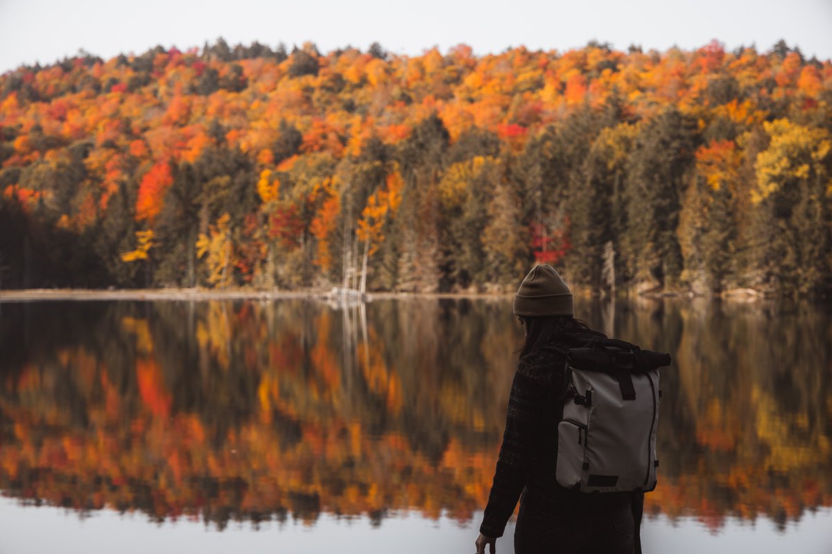 Les racines, sol, eau, les plantes, mycélium, aliments, faune, air
Merci Forest d'être si génial et épique!

Roots, soil, water, plants, mycelium, food, wildlife, air
Thank you forest for being so awesome and epic!
#terraperma #forestlife #vieenforêt #internationalforestday