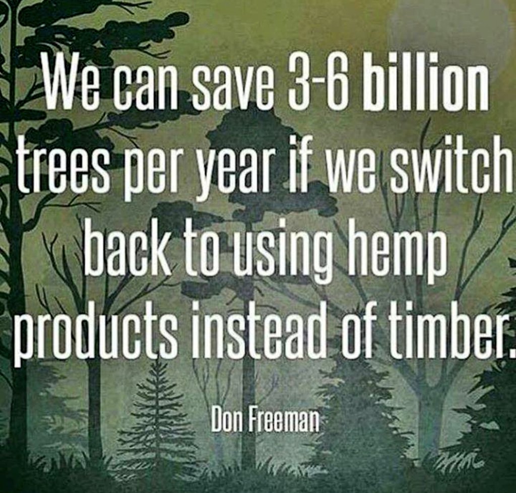 kevinghannah's tweet photo. @Norstackk ✌❤🌻🌼 https://t.co/p08c8Sd0Uw