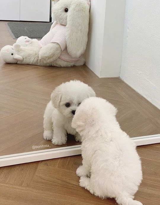 นีนี่ (@alwaysninini) on Twitter photo 