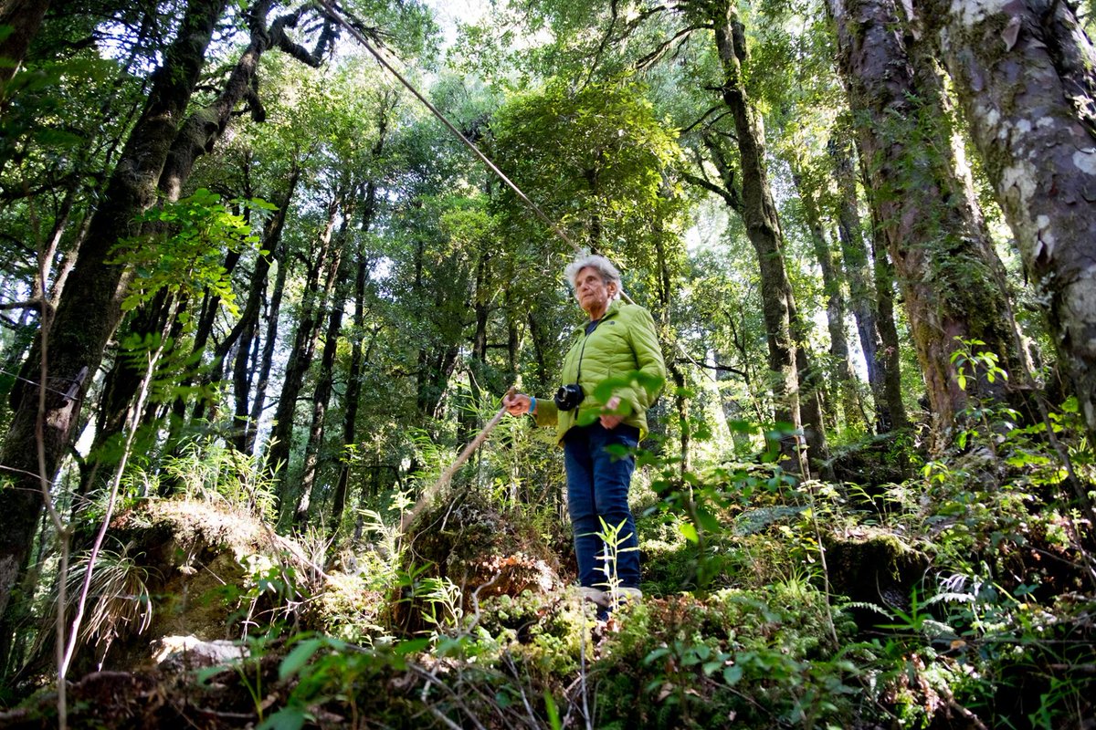 Mañana martes 22 de marzo, a las 12 del día, despediremos a nuestra amada madre, la reina de los bosques nativos de Chile, Adriana Hoffmann. La ceremonia fúnebre será al aire libre en el Parque del Recuerdo de Recoleta, Sector A 11, pasado la pileta a mano izquierda.