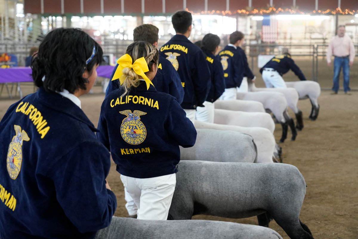 BigFresnoFair's tweet photo. Itโs the kick-off to #NationalAgWeek and what better way to celebrate than to highlight our hard-working livestock exhibitors! #FunFairFact: a total of 648 animals were sold at the #2021BFF with a total-sales of $1,169,256.93! WOW! ๐๐ฅ๐ฐ https://t.co/mDfefHiTDQ