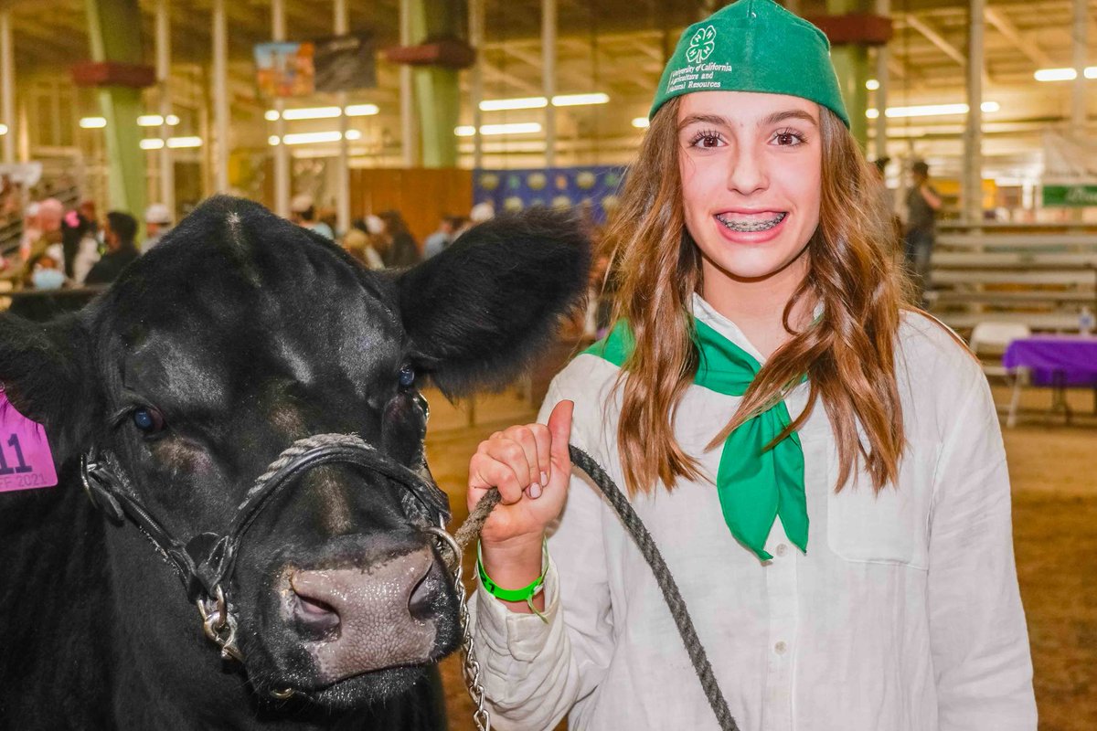 BigFresnoFair's tweet photo. Itโs the kick-off to #NationalAgWeek and what better way to celebrate than to highlight our hard-working livestock exhibitors! #FunFairFact: a total of 648 animals were sold at the #2021BFF with a total-sales of $1,169,256.93! WOW! ๐๐ฅ๐ฐ https://t.co/mDfefHiTDQ