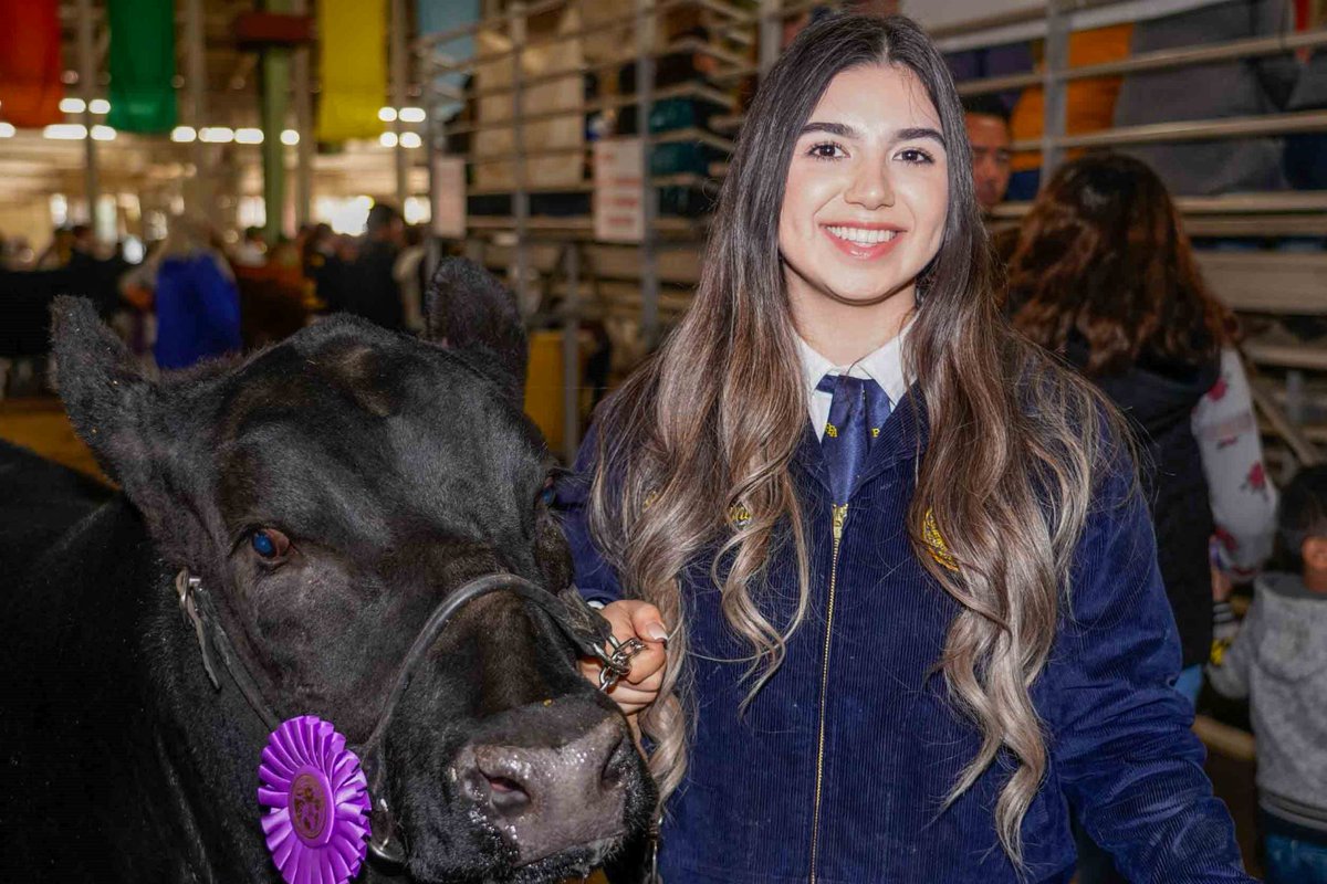 BigFresnoFair's tweet photo. Itโs the kick-off to #NationalAgWeek and what better way to celebrate than to highlight our hard-working livestock exhibitors! #FunFairFact: a total of 648 animals were sold at the #2021BFF with a total-sales of $1,169,256.93! WOW! ๐๐ฅ๐ฐ https://t.co/mDfefHiTDQ