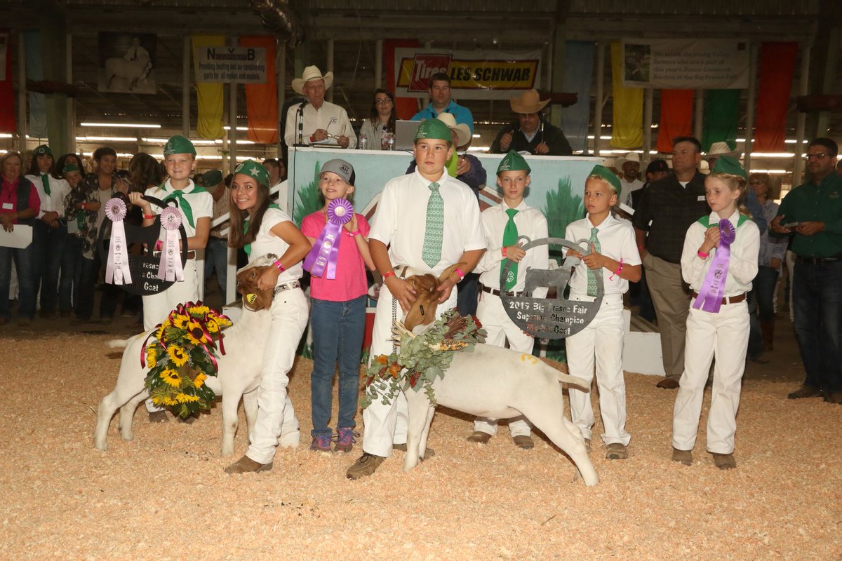 BigFresnoFair's tweet photo. Itโs the kick-off to #NationalAgWeek and what better way to celebrate than to highlight our hard-working livestock exhibitors! #FunFairFact: a total of 648 animals were sold at the #2021BFF with a total-sales of $1,169,256.93! WOW! ๐๐ฅ๐ฐ https://t.co/mDfefHiTDQ