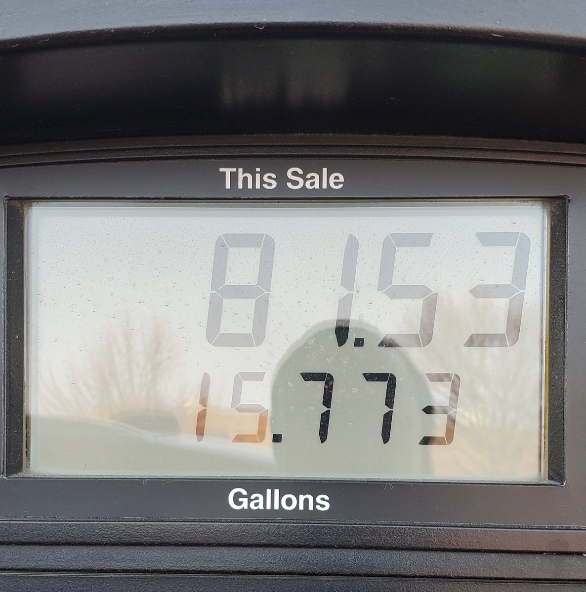 ASmith_Uncommon's tweet image. I am distraught...