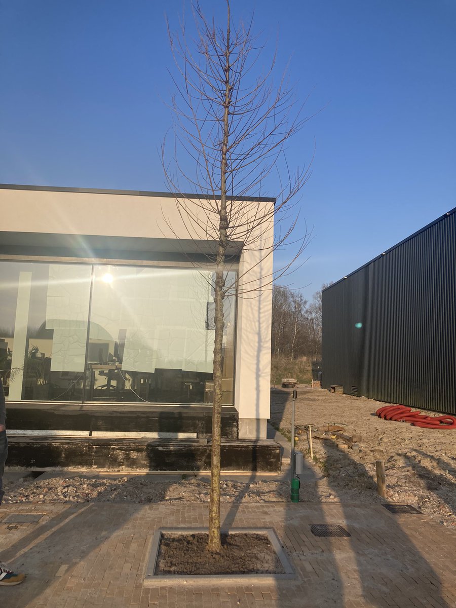 Vanmiddag weer een overleg bij <a href="/BuildinGron/">BuildinG</a> Inspirerende plek en ook even de proef opstelling bomen bekeken voor de #GroteMarkt. Interessant, welke meetinstrumenten zijn gekoppeld aan de bomen. Met @Piet_Zijlstra de liefde voor Zoutkamp en het vak gedeeld.#klimaatadaptatie