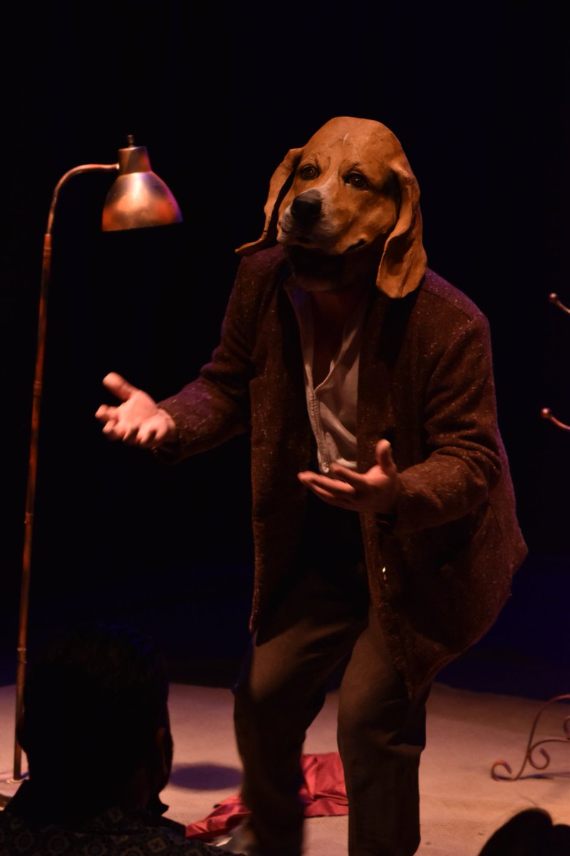multiculturalmx's tweet photo. ¡Quedan pocas funciones de Un perro llamado Modigliani 🐶! 

Te invitamos a disfrutar de ese montaje este 24 y 25 de marzo en El Mentidero a las 20:00 horas. 

¡Aprovecha nuestro 50% de descuento 🎟️! Puedes adquirir tus boletos en: https://t.co/cBGLtAqNwN, o en taquilla. https://t.co/M0YdCoczUk
