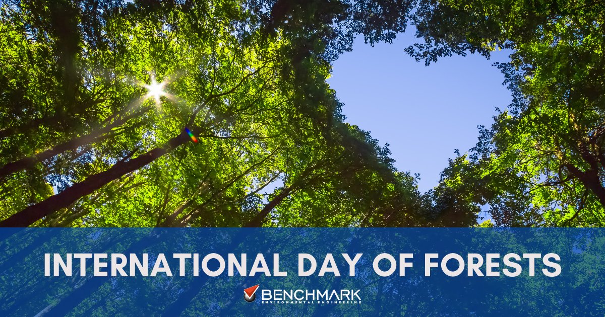 International Day of Forests raises awareness of the importance of all types of forests & encourages everyone to organize forest activities.

ow.ly/VfqI50I4Umj

#NationalDayOfForests #Forests #LetsGreenThePlanet #PlantTrees #ForestCleanup #California #BenchmarkEnvironmental