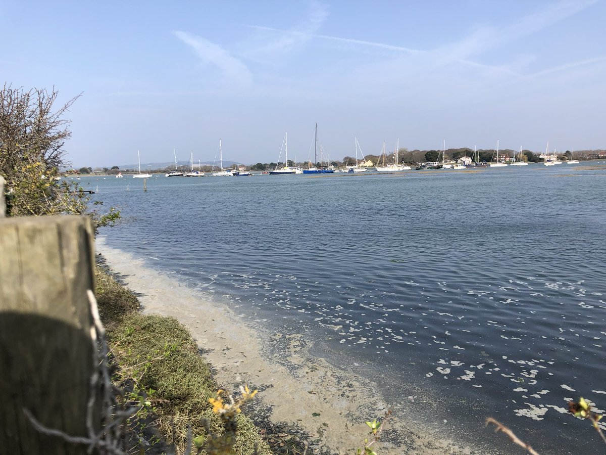 bimbi fawcett 💙 tweet media