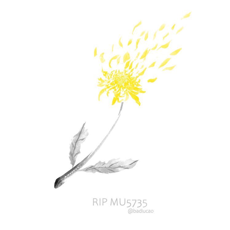 74710eth's tweet photo. 🙏 #MU5735 🙏 https://t.co/kJ3k7YhpGg