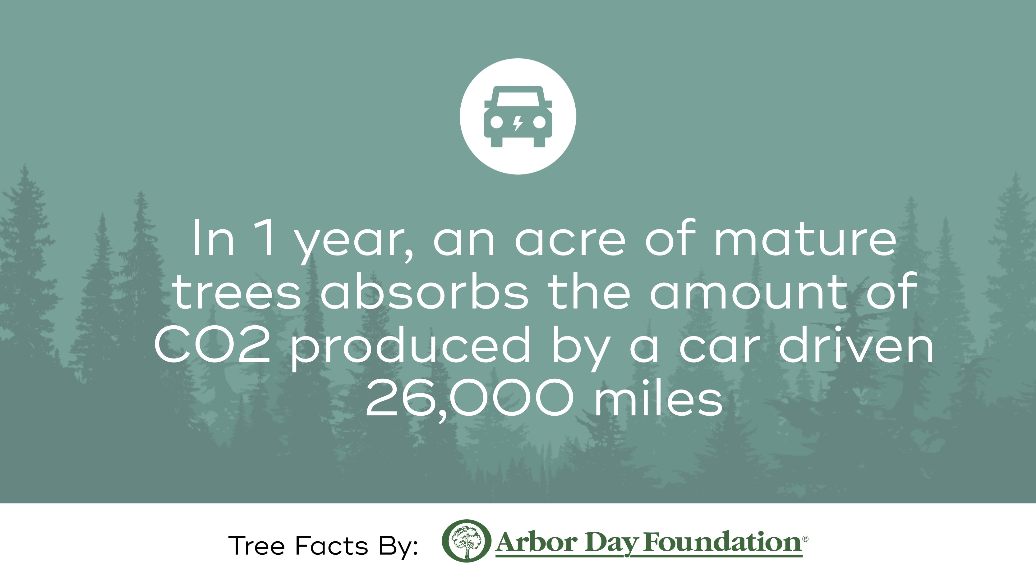 Arbor Day Foundation (arborday) / Twitter