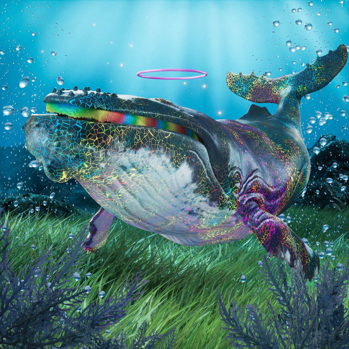 Name some cooler art on Solana.. I'll whait