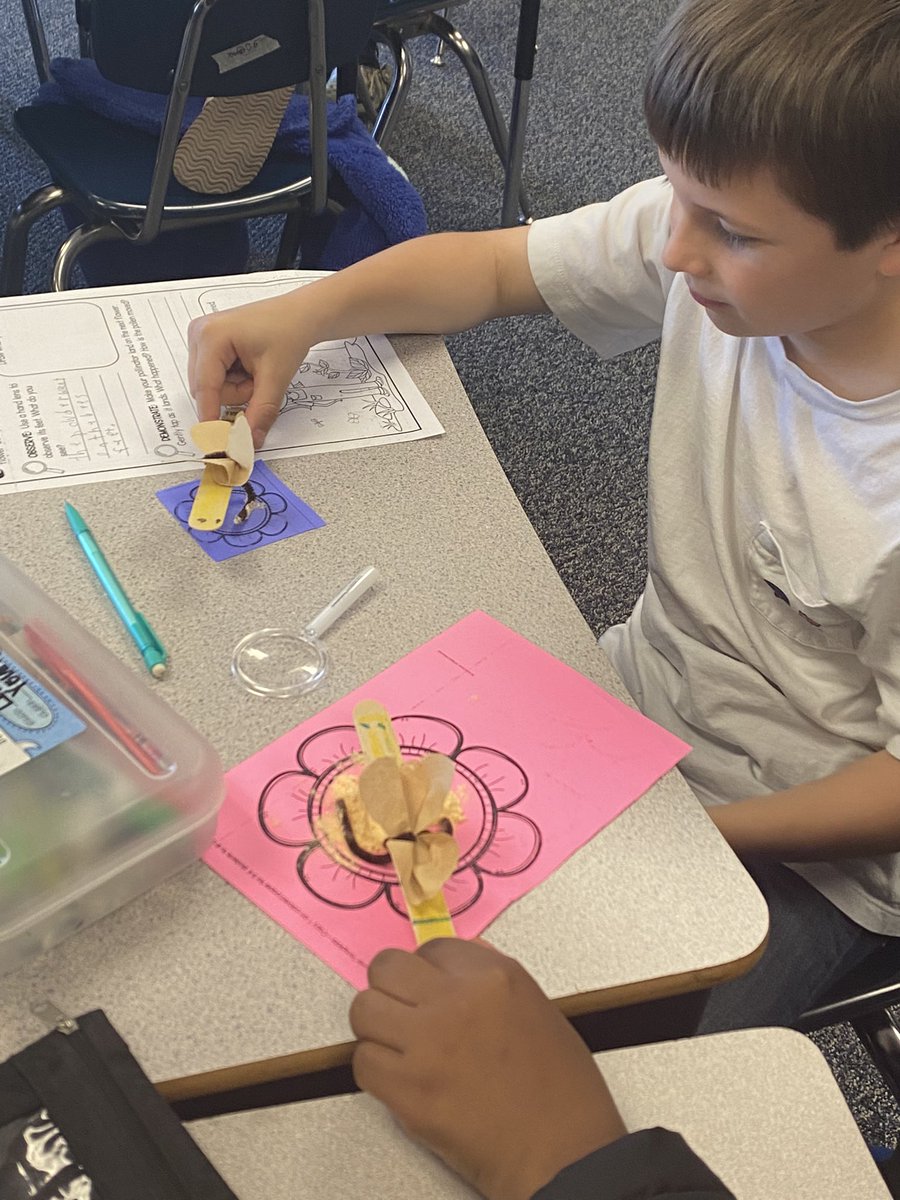 We have learned today how plants depend on animals…like the 🐝 to help pollinate.