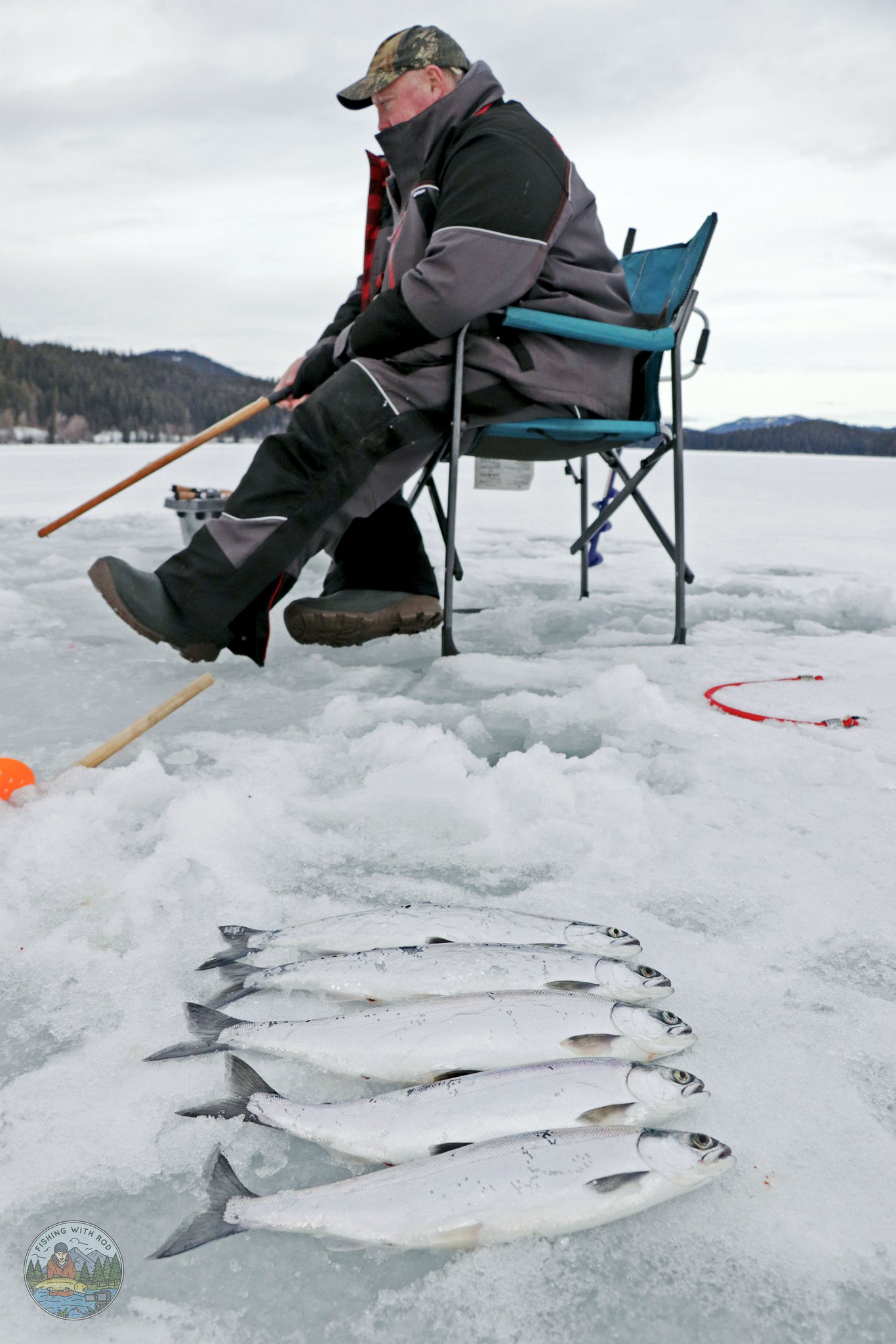 Fishing with Rod on Twitter "I'm releasing a new episode tonight at 8