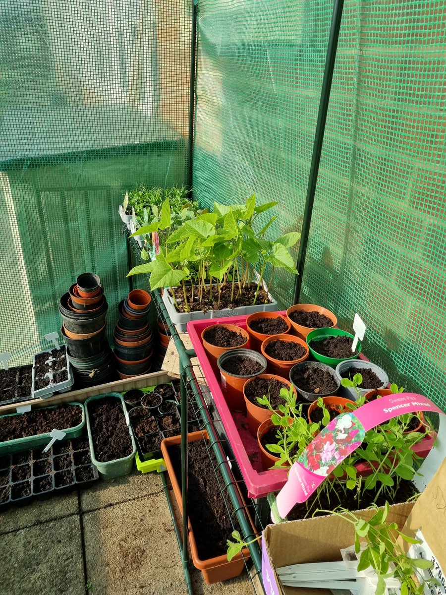 Cotmanhay Juniors tweet media