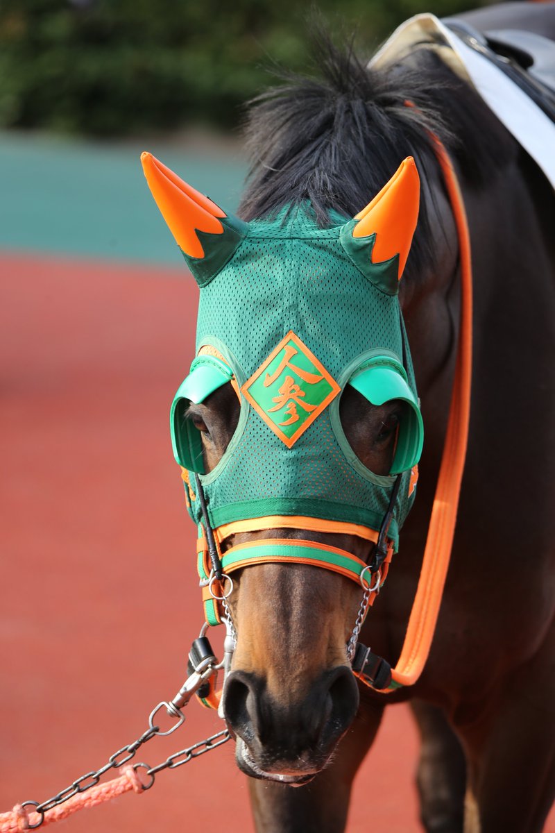 タグ シゲルニンジン の注目ツイート メガとんトラック