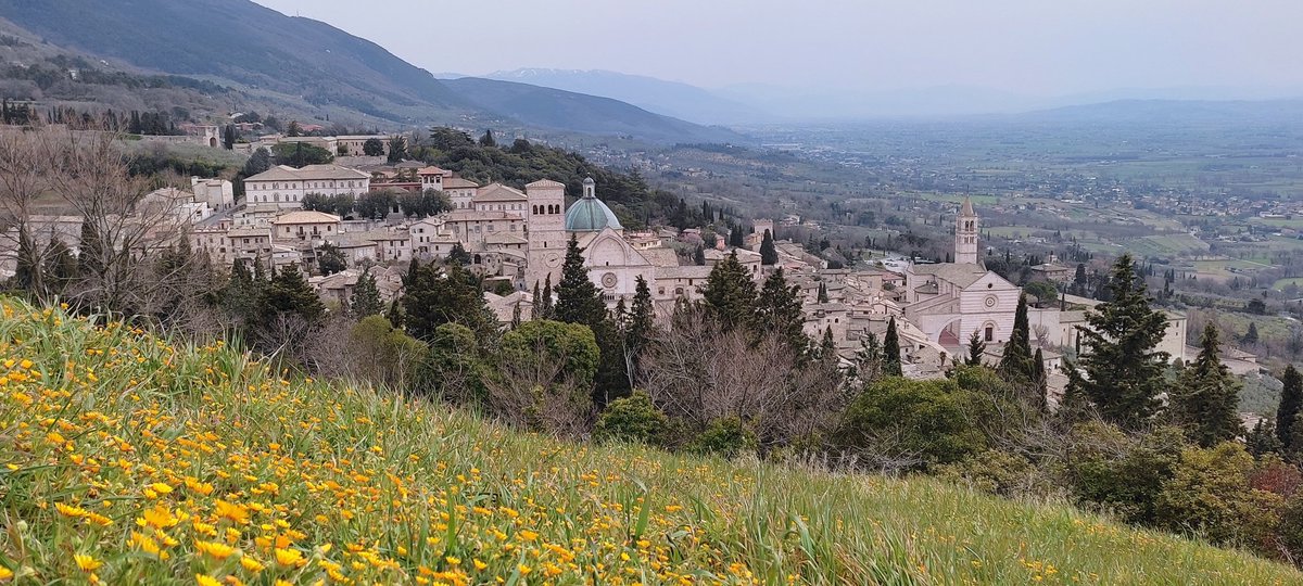 Jack Moscrop tweet media