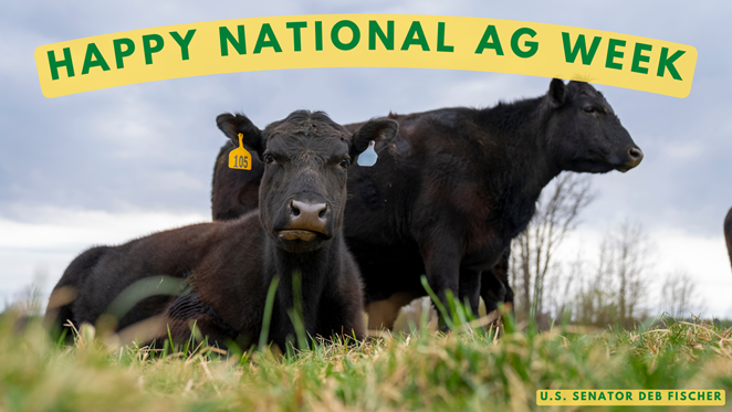 Today is the start of #NationalAgWeek!
 
NE ag puts food on our tables, fuel in our cars, and is responsible for 1/4 of jobs in the state.
 
Thank you to our farmers, ranchers, and entire ag workforce for all that they do, including being great stewards of our natural resources.