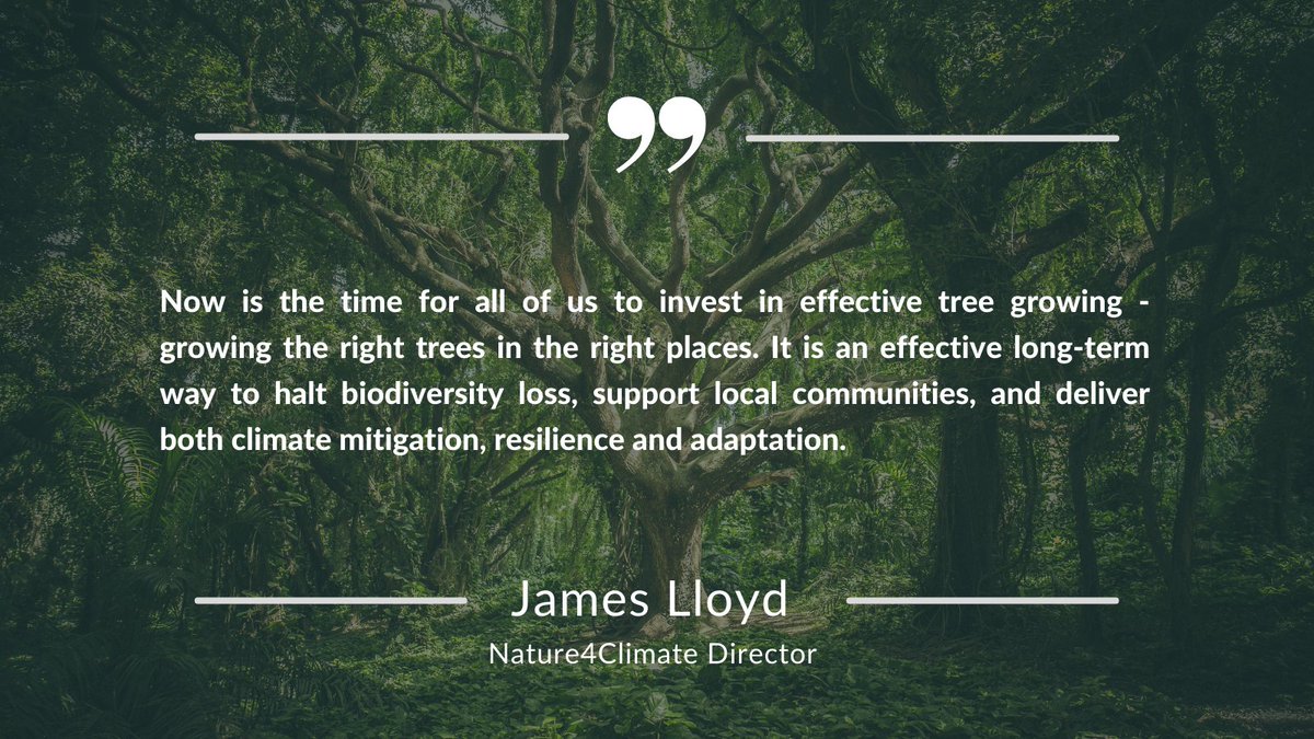 Nature4Climate's tweet photo. Investing in high-quality tree growing projects is key to delivering positive impacts for people, biodiversity and the climate. The #ReforestBetter Guide helps make sure our trees are growing 🌳

@_Jameslloyd tells HOW ➡️ https://t.co/FjXxqQaxi4

#IntlForestDay #BetterWithForests https://t.co/GIEl0KmG2I