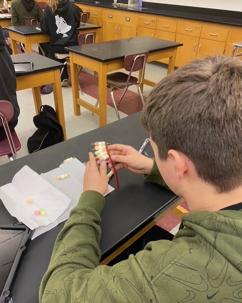 7Svms's tweet photo. When DNA is taken out of the cell and stretched out, it looks like a twisted ladder. Students in 7th grade used color marshmallows, twizzlers, and toothpicks to construct a DNA Double Helix. @SauconValleyMS @JamesPDeegan #dna #science #middleschool https://t.co/xWzysOjG9h
