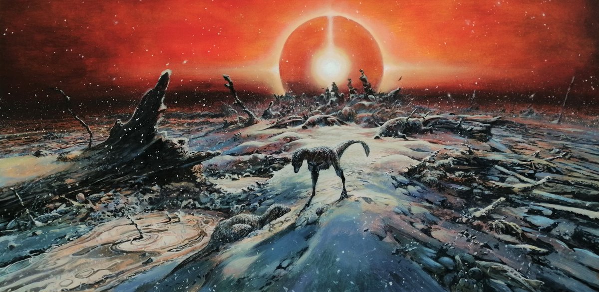 Chris Junium tweet media