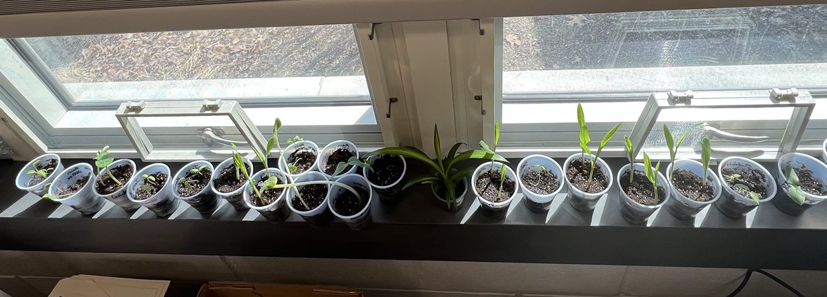 Good work Smith students! We’re going to have a great garden this year! ⁦<a href="/RSDsmithschool/">Smith Middle School</a>⁩