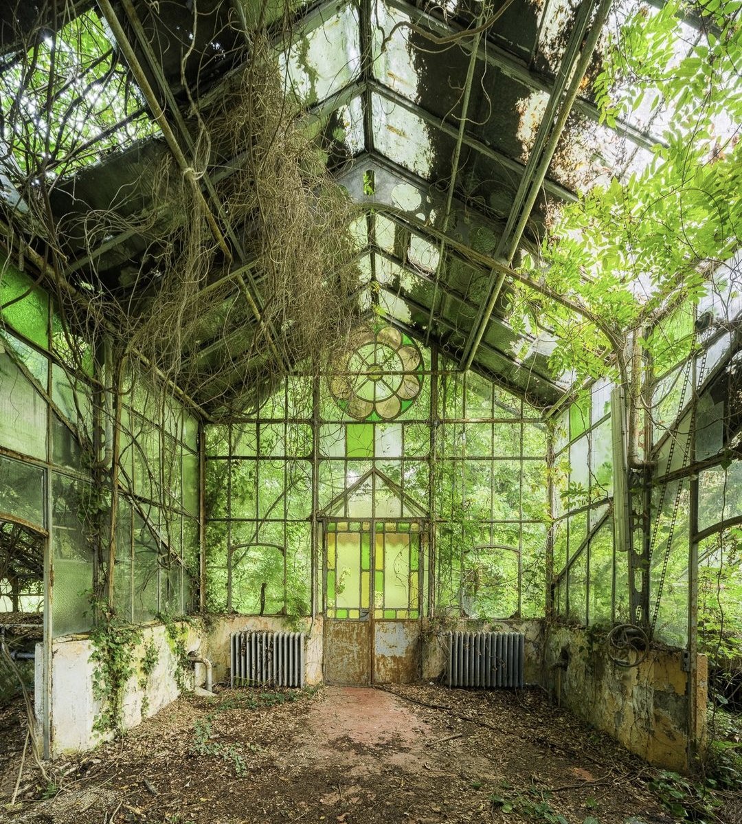 Slowly, slowly... daylight hours are increasing and spring....springs 🌿

The sun is shining and my energy levels feel much better ⚡

Perhaps I am a plant, maybe I need to sit outside on the patio for longer and catch some rays 🤣💚

Photo of an abandoned greenhouse, Italy 🇮🇹