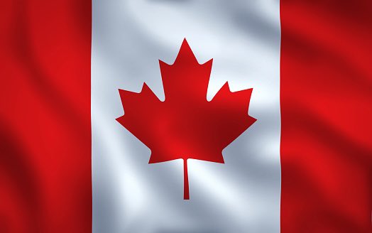 This is our flag

It was on my backpack, my hockey jersey, it flies over my hospital. It represents something central in my life. 

I hate seeing it co-opted to promote hate and misinformation. I hate feeling uneasy when I see it on some truck. 

I want Canada’s flag back. 🇨🇦