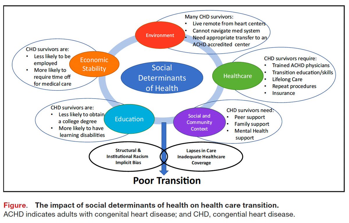 Keila Lopez MD, MPH 🫀 tweet media