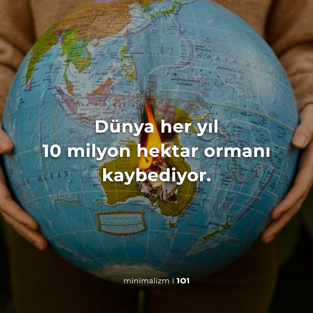 minimalizm101's tweet photo. 🌳#DünyaOrmanGünü #WorldForestDay https://t.co/hxAiyHhXlY