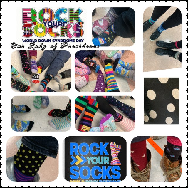 Our Lady Of Providence (@olop35) on Twitter photo Rock Your Socks World Down Syndrome Day <a href="/OLOP35/">Our Lady Of Providence</a>! <a href="/DPCDSBSchools/">Dufferin-Peel Catholic District School Board</a> <a href="/DirectorDPCDSB/">Marianne Mazzorato</a> @TrusteeXaviour <a href="/opheacanada/">Ophea</a> Rock Your Socks World Down Syndrome Day <a href="/OLOP35/">Our Lady Of Providence</a>! <a href="/DPCDSBSchools/">Dufferin-Peel Catholic District School Board</a> <a href="/DirectorDPCDSB/">Marianne Mazzorato</a> @TrusteeXaviour <a href="/opheacanada/">Ophea</a>