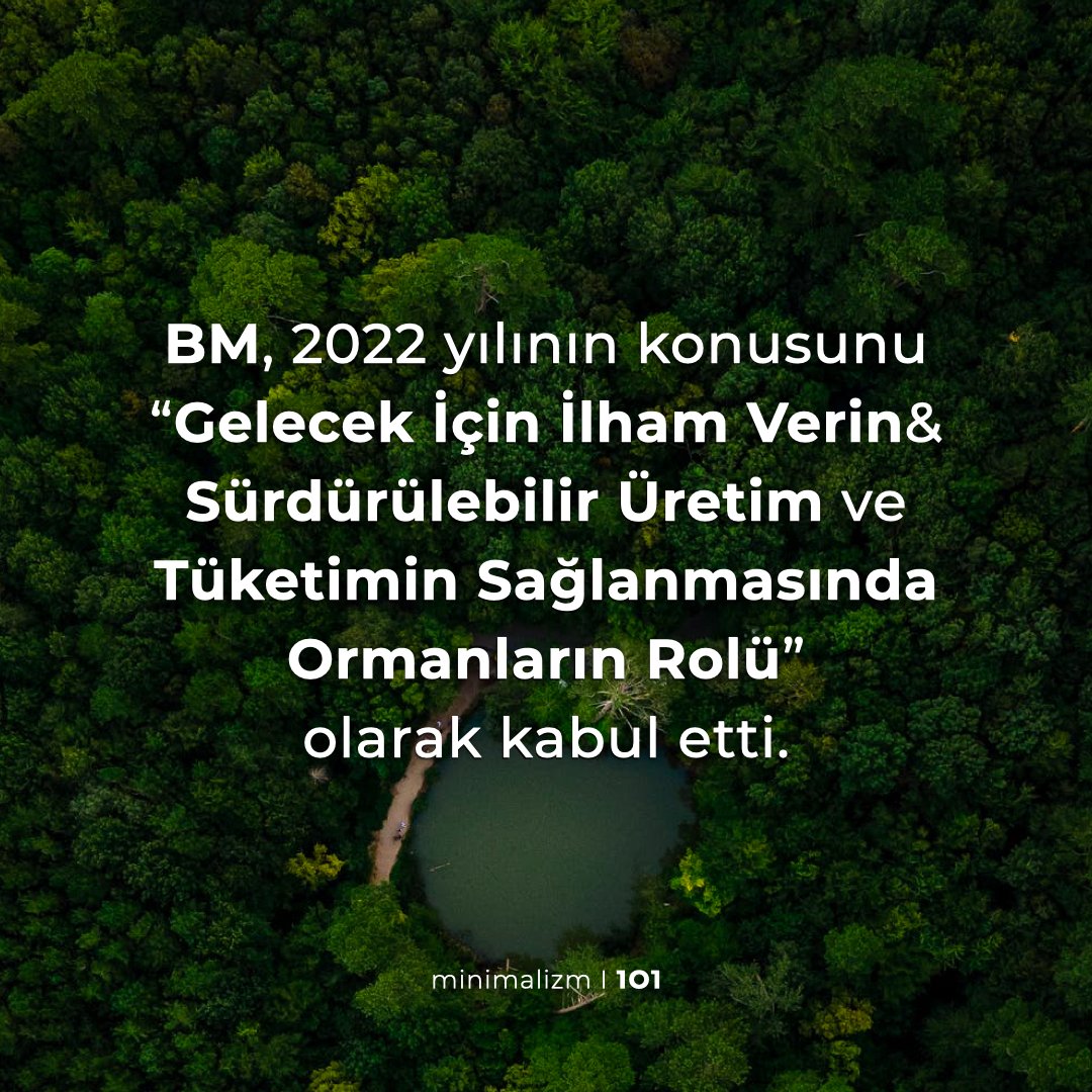 minimalizm101's tweet photo. 🌳#DünyaOrmanGünü #WorldForestDay https://t.co/hxAiyHhXlY