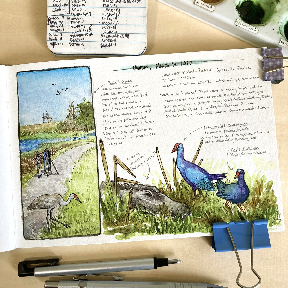 lroweart's tweet photo. Back in VA after a week of birding in FL with my dad. This spread is from last Monday when we birded at Sweetwater Wetlands Preserve - a very cool place with amazing birds! Got 2 lifers - Mottled Duck and Grey-headed Swamphen.
#birding #naturejournal #sweetwaterwetlandspark https://t.co/MRUyHbpynY