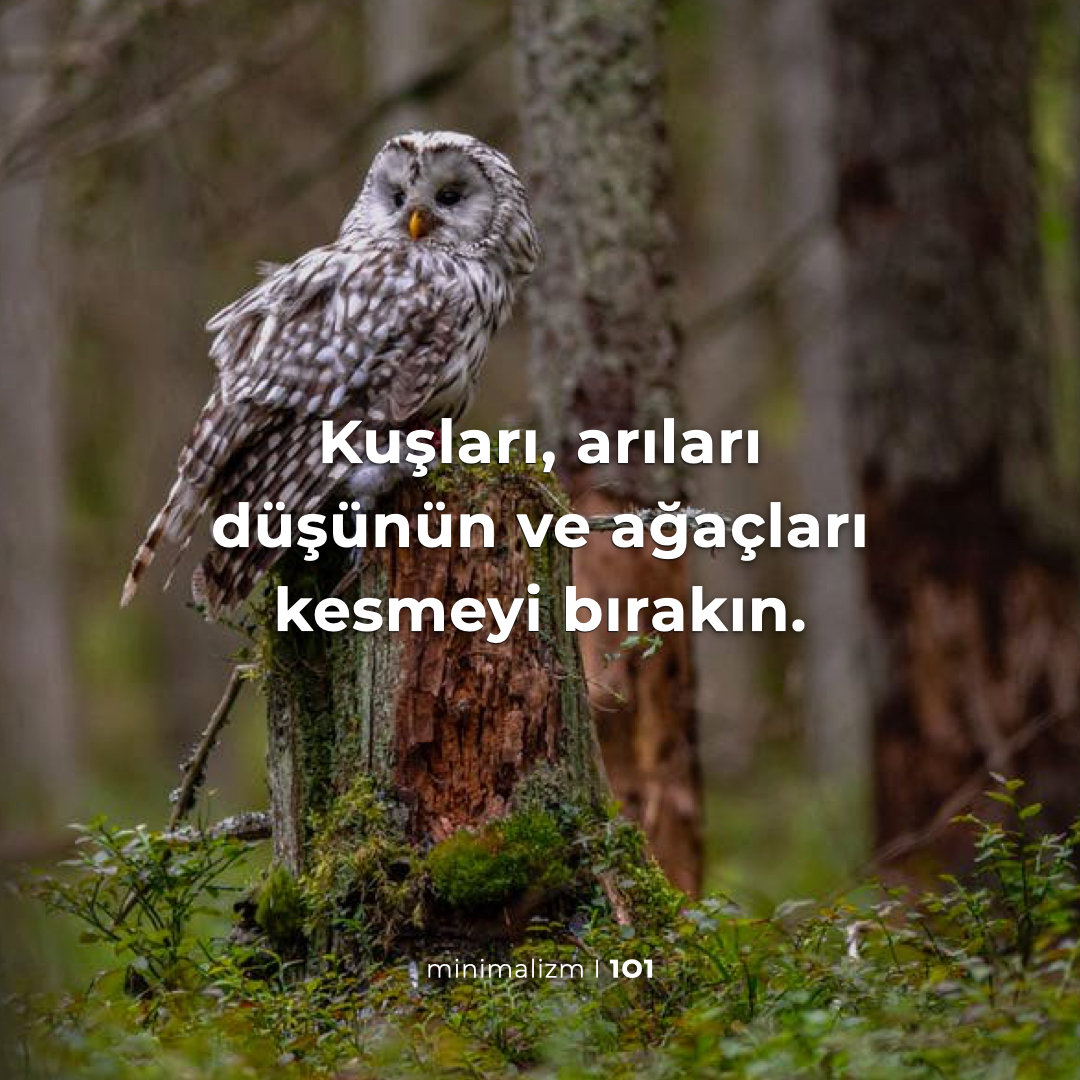 minimalizm101's tweet photo. https://t.co/5OQFXiaktD
