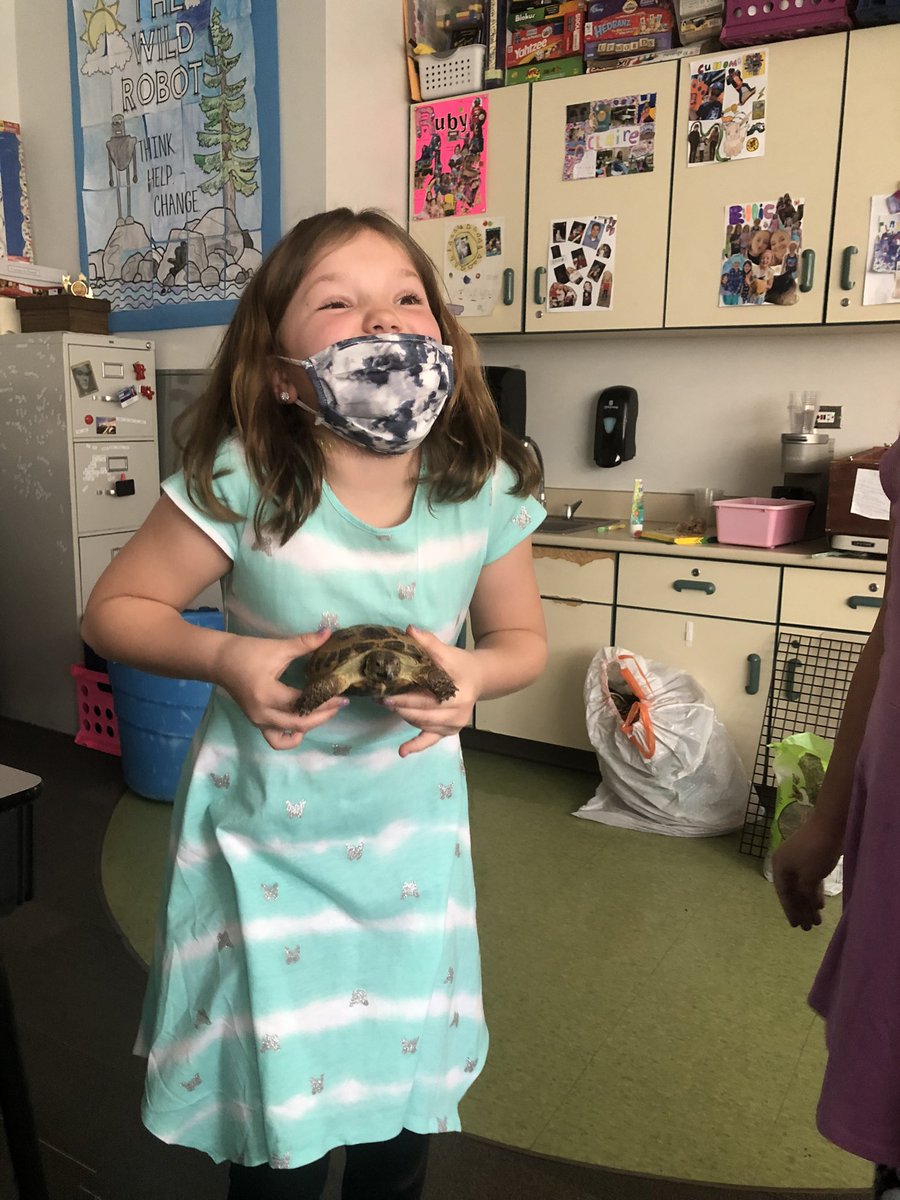 danielspeeps's tweet photo. Saying goodbye to sweet Alfonzo- the tortoise.  Such a great class pet for the week.  #angellisallthat https://t.co/std26K25T6