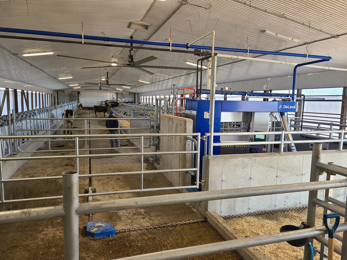 Let the count down until cows begin! We are starting up this <a href="/DeLavalCanada/">DeLaval Canada</a> V310 robot today at Jansemas! Stay tuned for updates.

#ontag #dairydonewell #agriculture #farming #startups 
📷<a href="/cdmcintosh70/">Chris McIntosh</a>