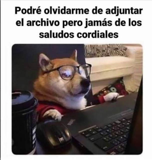 CalamoyCran's tweet photo. Sí soy. https://t.co/lfAVamQ2lF