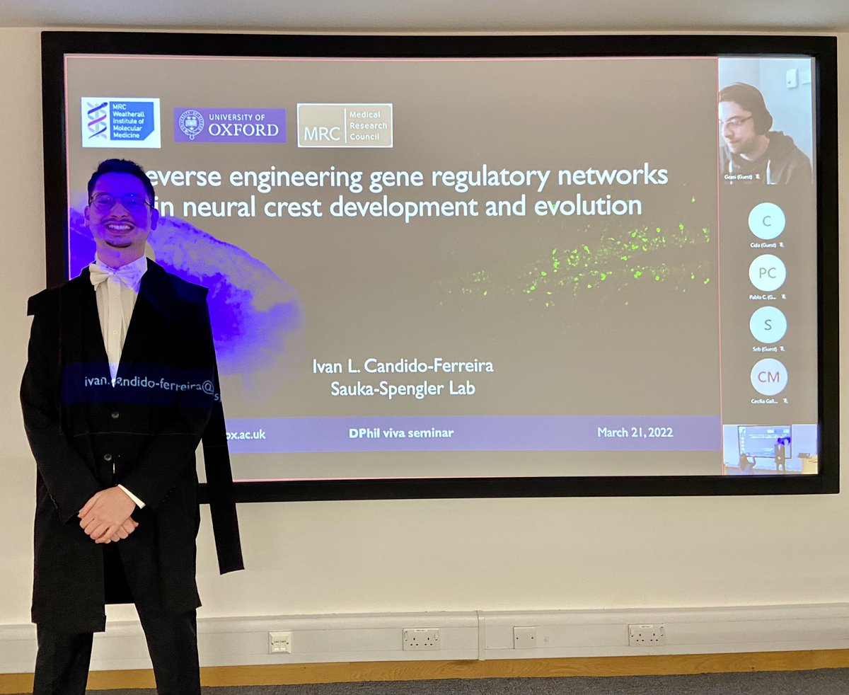 simoesfili's tweet image. Massive congratulations to the one and only @ivanferrreira @TSS_Lab @MRC_WIMM! Many words come to mind but top 3 are: resilience, brilliancy and kindness! So bloody proud of you Dr Candido Ferreira! #PhDone #PhDChat #WatchThisOne @OxfordMedSci