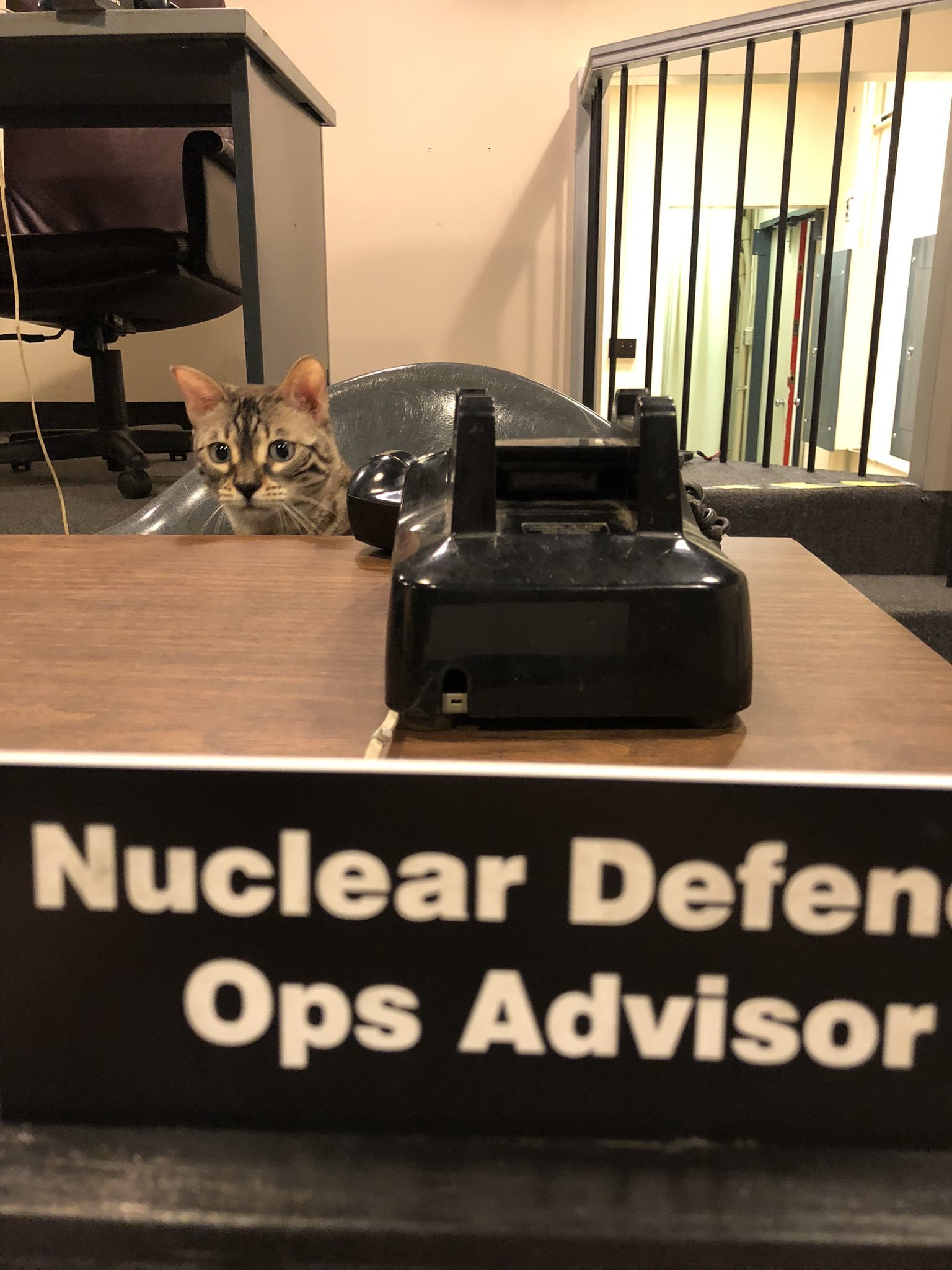 FOZQTYbXEAUXUEb?format=jpg&name=large