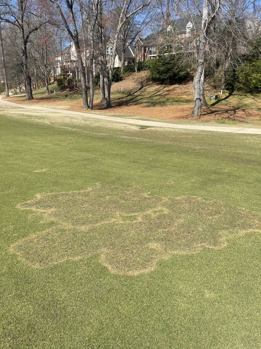 callahan_kyle's tweet photo. 🤔 To spray or not to spray.  😂 https://t.co/4NlEtGib00