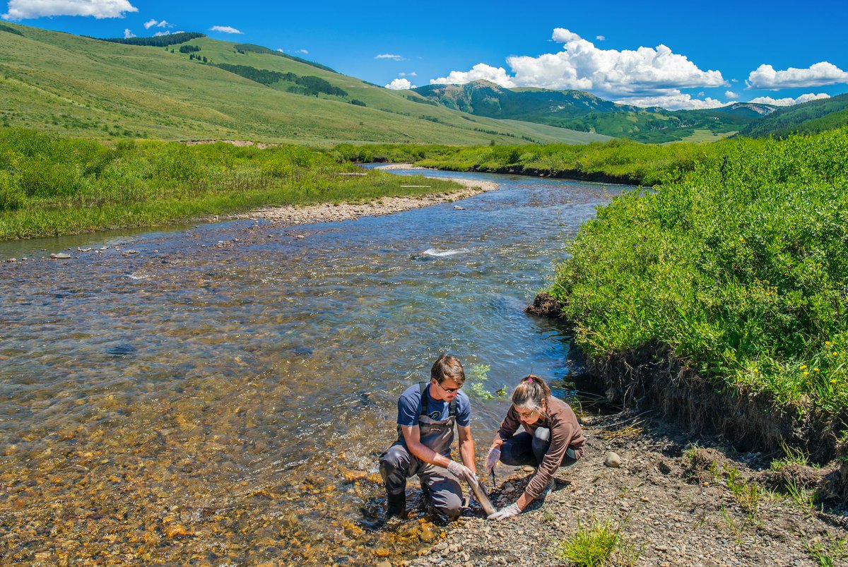 eesalbnl's tweet image. It’s🚰#WorldWaterDay – check out how @BerkeleyLab  hydrology engineers and scientists develop a #watersecure future 💙 Stay tuned as we highlight our #groundwater projects! 💧#sustainability #water #mygroundwaterstory @NewshaAjami