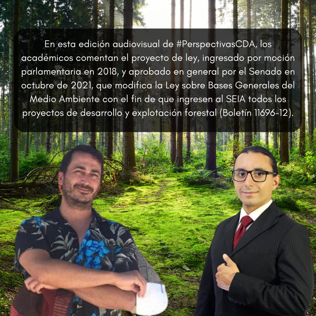 cdauchile's tweet photo. #PerspectivasCDA ¡En el #DíaInternacionalDeLosBosques les invitamos a ver las «Perspectivas sobre la Regulación y Conservación de los #Bosques», a cargo del Dr. Jorge Aranda y del Dr. Álvaro Gutiérrez! https://t.co/E89vFmAcbE | #IntlForestDay #BetterWithForests #ForNature https://t.co/JUjMBoJtih