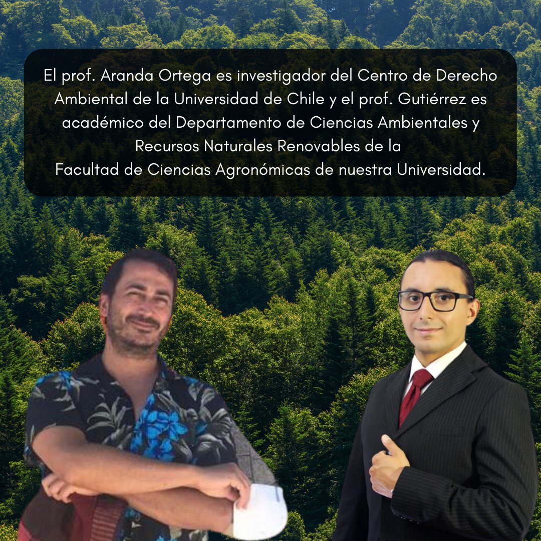 cdauchile's tweet photo. #PerspectivasCDA ¡En el #DíaInternacionalDeLosBosques les invitamos a ver las «Perspectivas sobre la Regulación y Conservación de los #Bosques», a cargo del Dr. Jorge Aranda y del Dr. Álvaro Gutiérrez! https://t.co/E89vFmAcbE | #IntlForestDay #BetterWithForests #ForNature https://t.co/JUjMBoJtih
