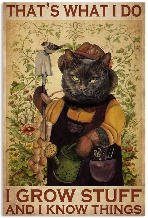 Katrinavision's tweet photo. The cat speaks the truth. Truly, this is my purpose in life. #GrowStuff #KnowThings https://t.co/R8XDvFqD7I