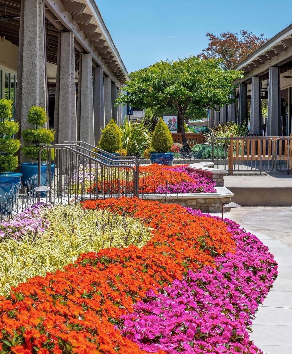 ShopDelMonte's tweet photo. The first day of spring is blooming with good vibes here at #DelMonteCenter! 🌷 ☀️ https://t.co/lCekZIn6Z1
