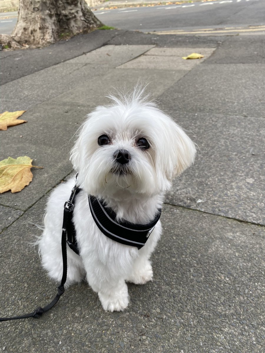 Lucy Hesketh tweet media